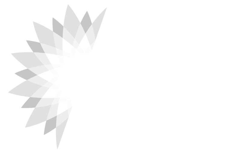 NVA S.r.l.